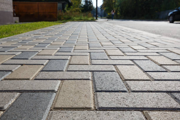Best Professional Driveway Pavers  in Hampton, SC