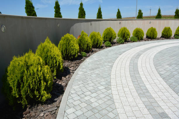 Best Residential Driveway Paver Services  in Hampton, SC