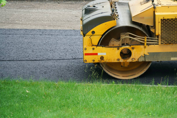 Best Driveway Paving Near Me  in Hampton, SC